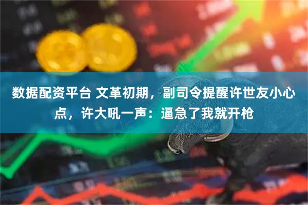 数据配资平台 文革初期，副司令提醒许世友小心点，许大吼一声：逼急了我就开枪